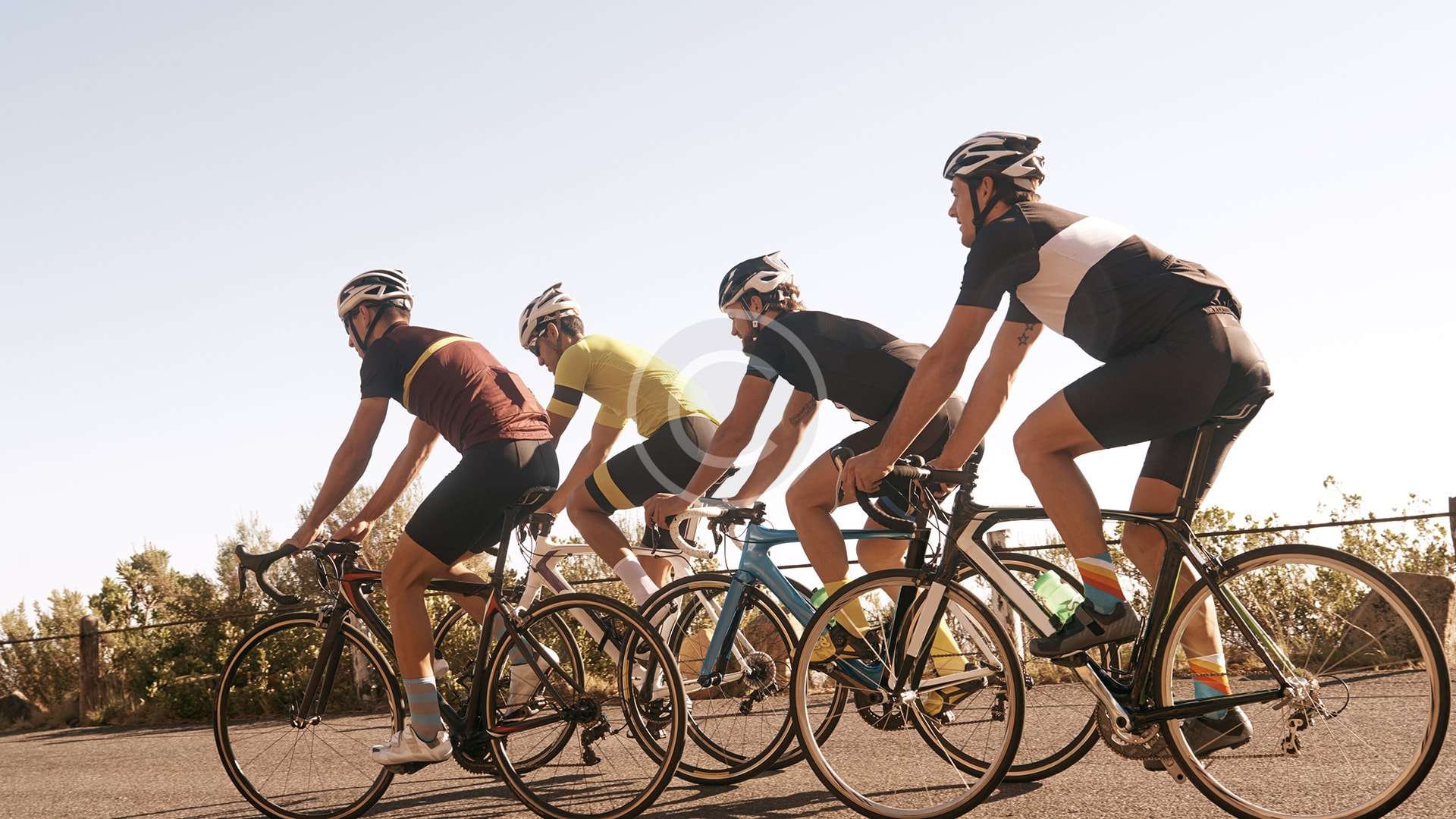 gallery-03-copyright-min