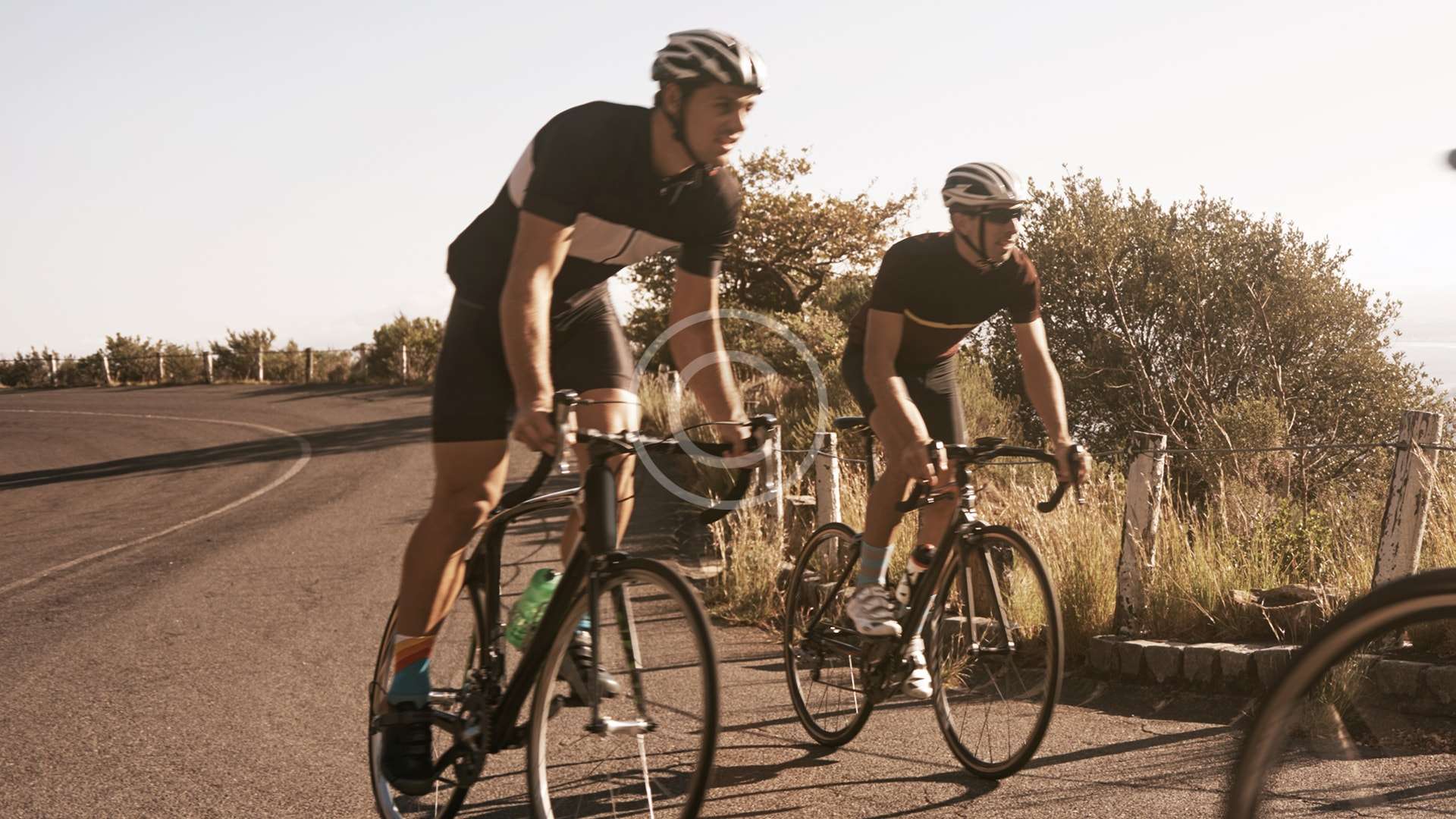 gallery-04-copyright-min