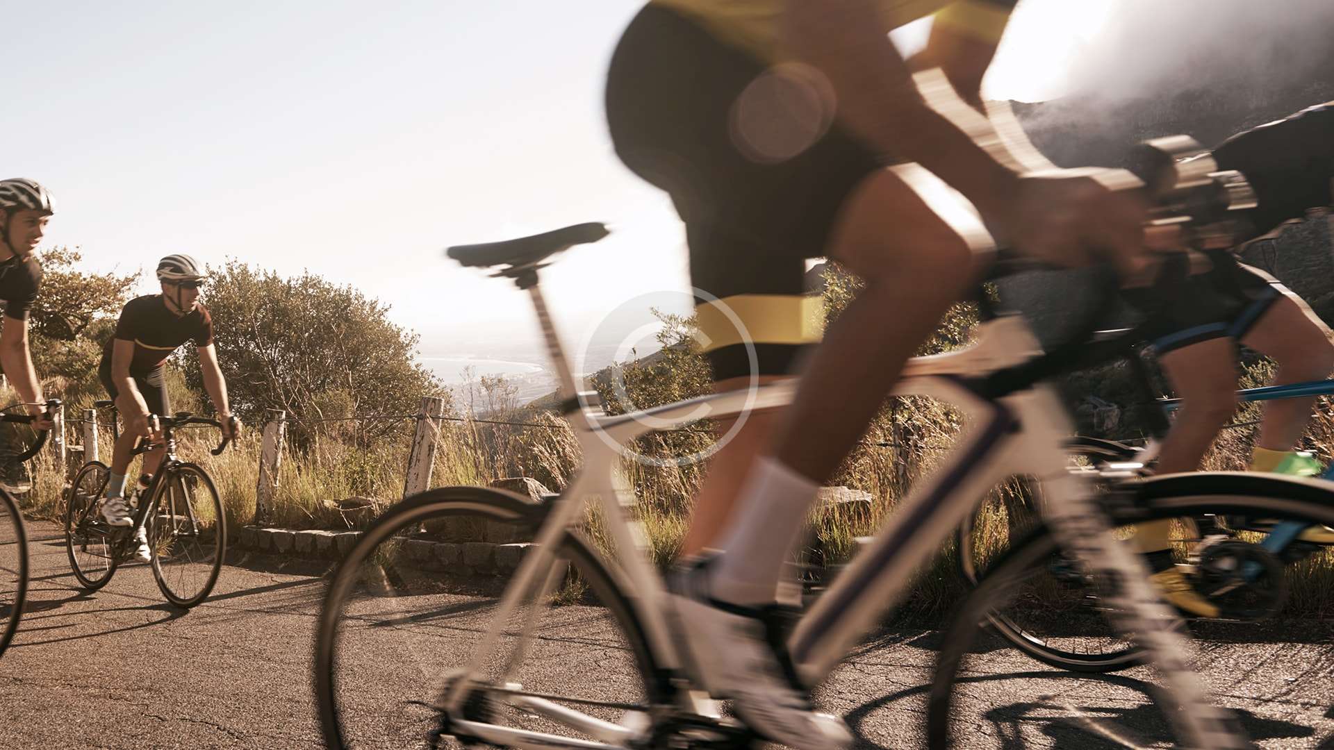 gallery-06-copyright-min